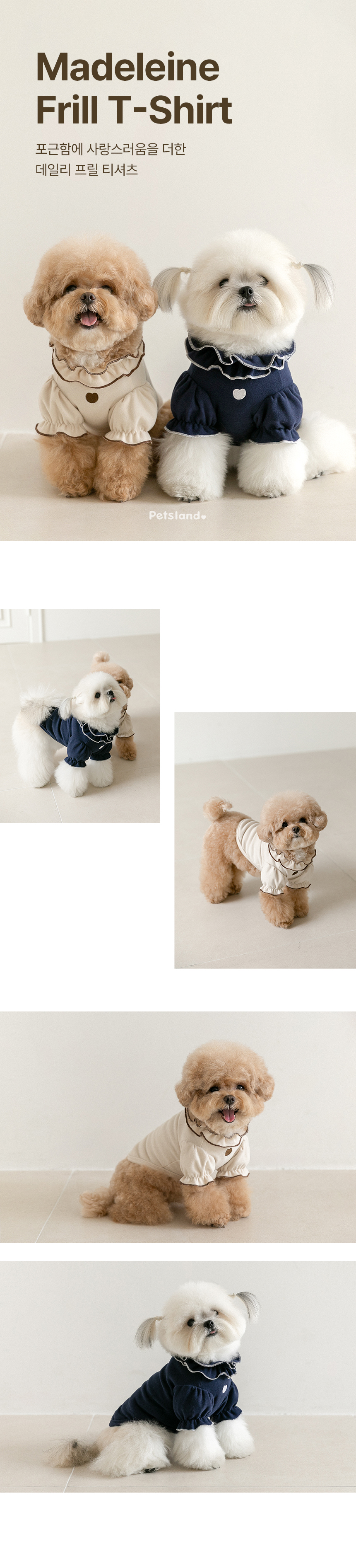작은 강아지를 위한 프릴 디테일 티셔츠 크림 베이지와 네이비 프릴 티셔츠를 입은 소형견들의 착용 모습